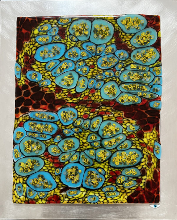 Micro-cellular Communities