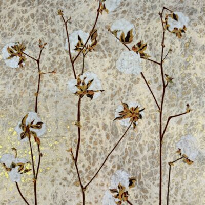Cotton -  (24x18" no frame)