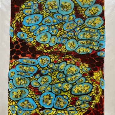 Through the Microscope